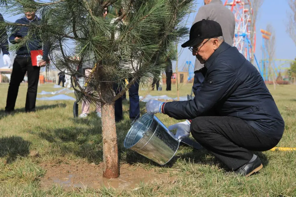 В ТУРКЕСТАНСКОЙ ОБЛАСТИ В ЭТОМ ГОДУ ВЫСАДЯТ 1 МЛН САЖЕНЦЕВ (5)