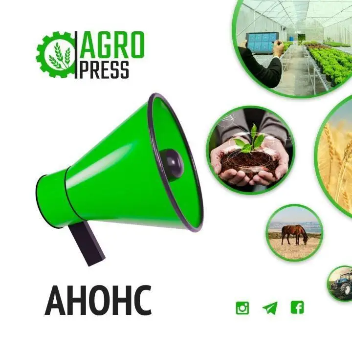 Встреча вице-министра сельского хозяйства с населением Туркестанской области Астане