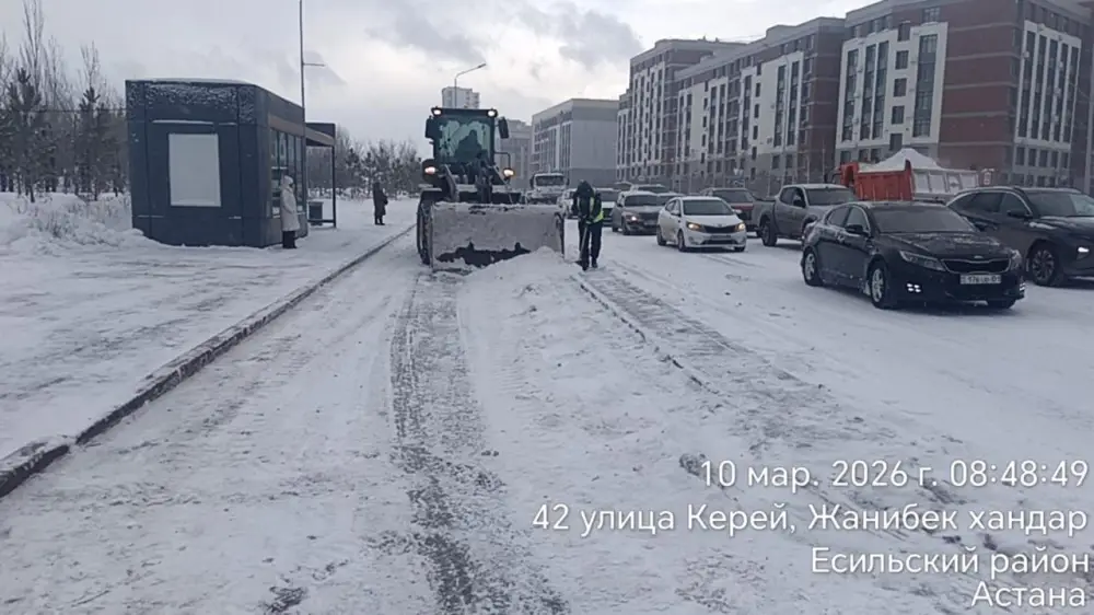 Снегопад в Астане: более 1700 единиц спецтехники задействованы в уборке снега в Астане (2)