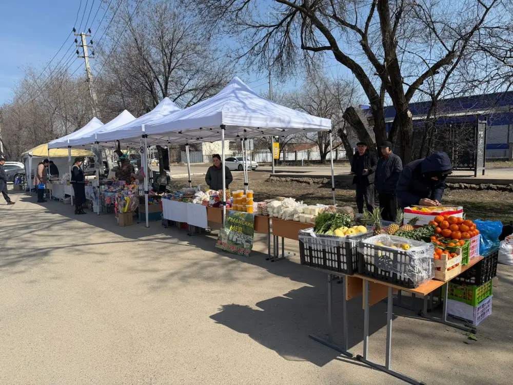 Ярмарка сельхозпродукции в Алатау: местные производители предлагают товары на референдуме Астане