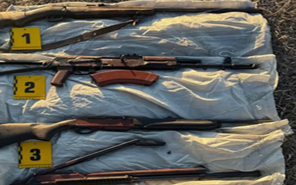 Изъятие оружия в Казахстане: меры по обеспечению безопасности населения Астане