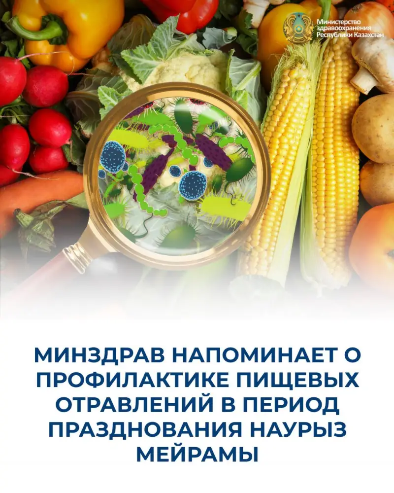 Уважаемые друзья! Приближается любимый всеми весенний праздник — Наурыз мейрамы, который сопровождается богатым изобилием разных блюд — наурыз-коже, баурсаки, бешбармак, казы, шужык, куырдак, женты и другие скоропортящиеся продукты. (2)