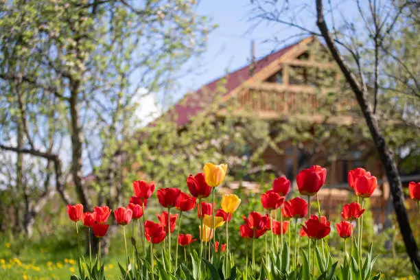 В Алматинской области продолжается масштабное включение дачных массивов в состав населённых пунктов Астане