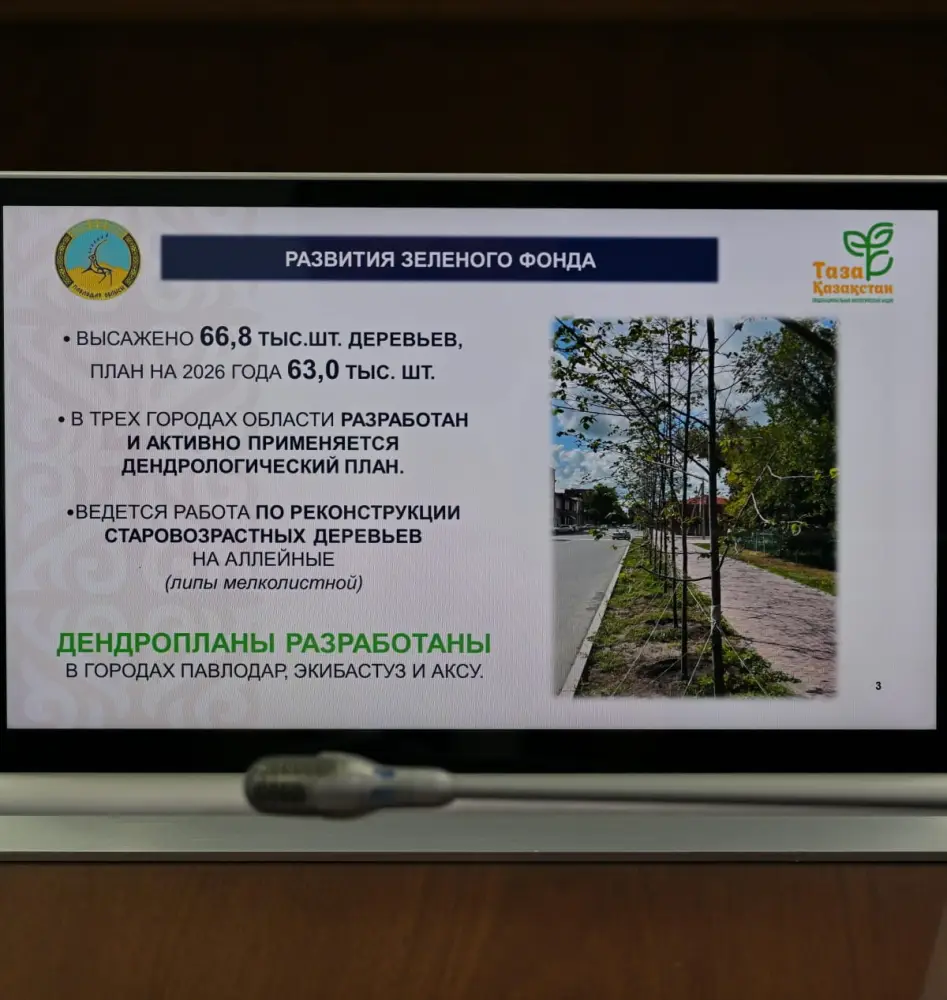 Сегодня в акимате области рассмотрели вопросы благоустройства и санитарной очистки населенных пунктов (2)