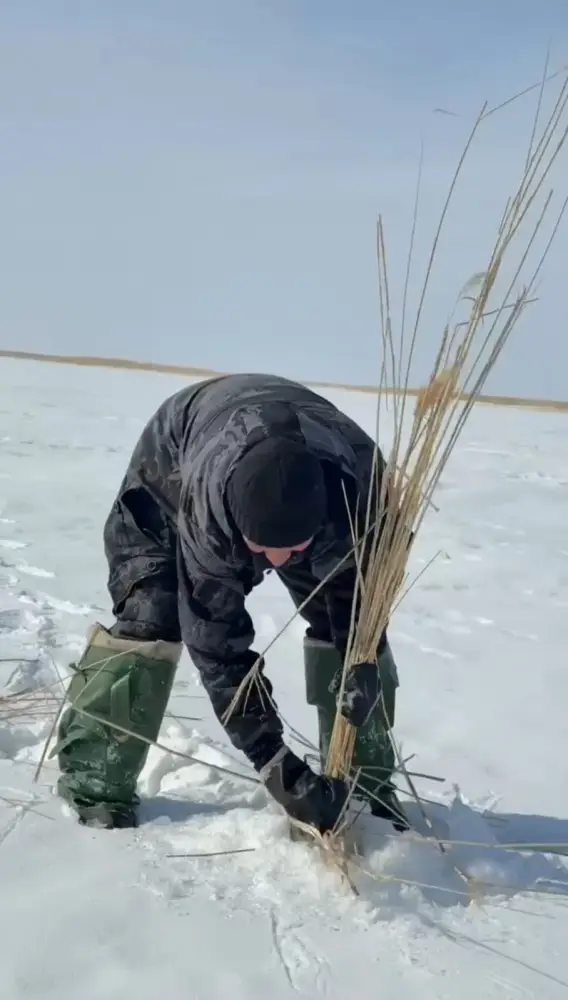 На озере Зайсан проведены работы по аэрации воды (2)