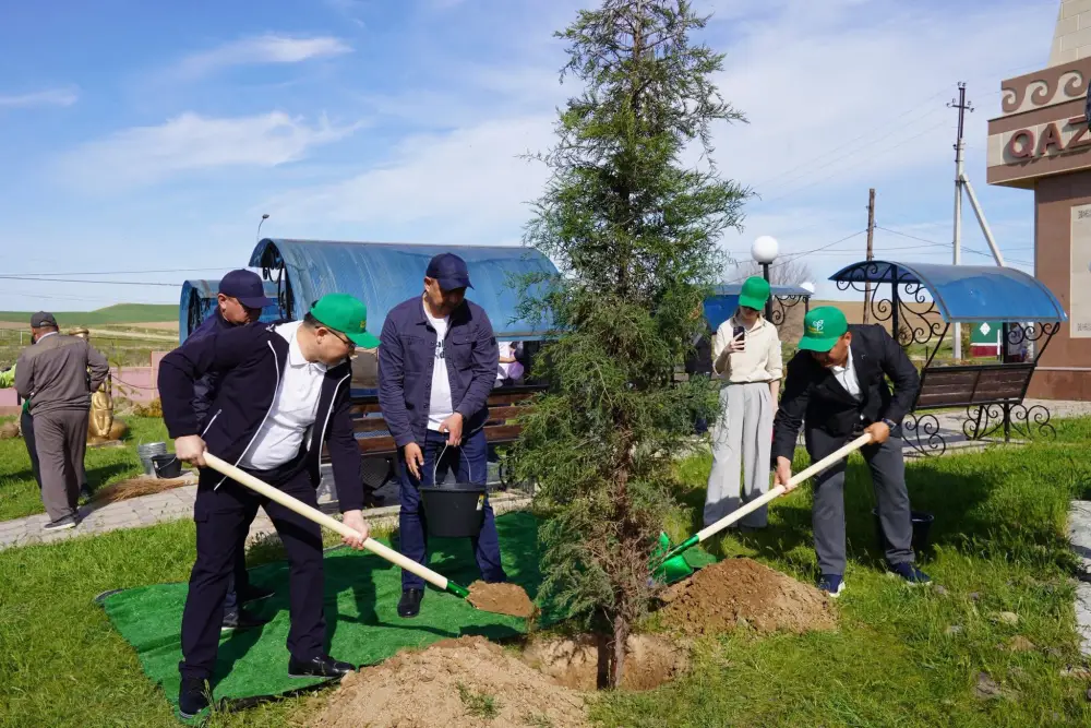 8 тысяч саженцев: зеленая революция в Казыгурте! Астане