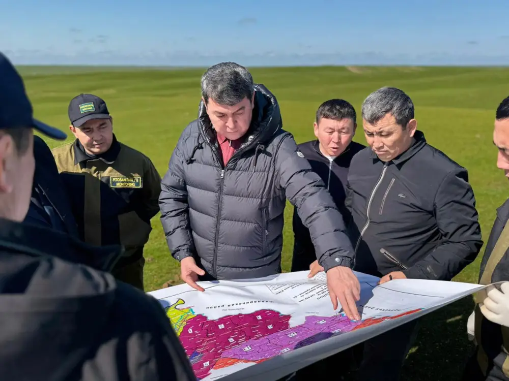 Борьба с саранчой в Туркестанской области Астане