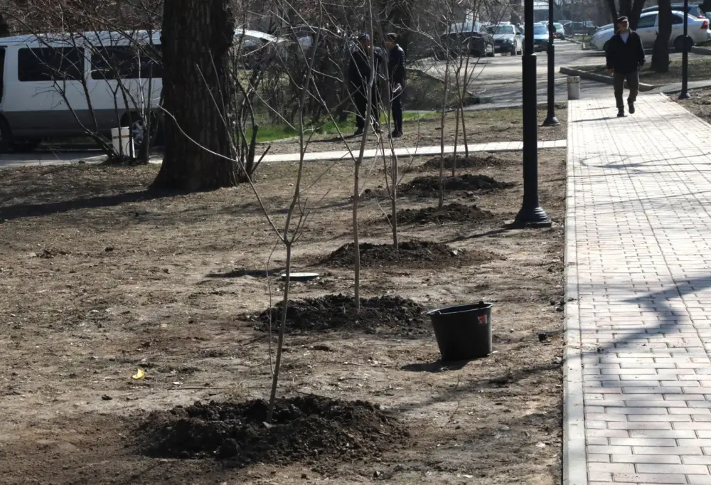 В Алматы в Жаңару күні высадили более 400 деревьев (2)