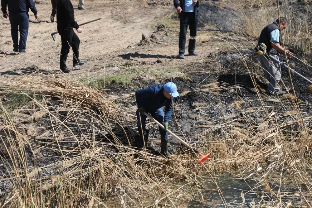 ТУРКЕСТАН: В САРЫАГАШЕ В РАМКАХ ЭКОЛОГИЧЕСКОЙ АКЦИИ «МӨЛДІР БҰЛАҚ» ОЧИЩЕНО 15 КИЛОМЕТРОВ КАНАЛОВ И АРЫКОВ (2)