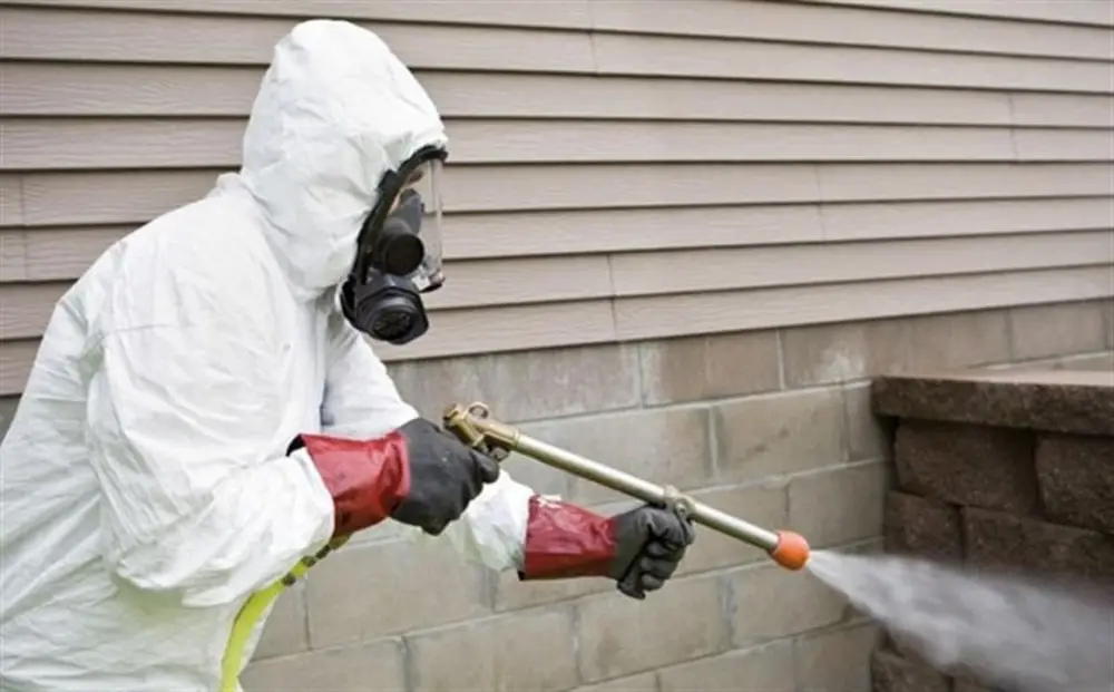 В Астане началась весенняя борьба с грызунами (2)