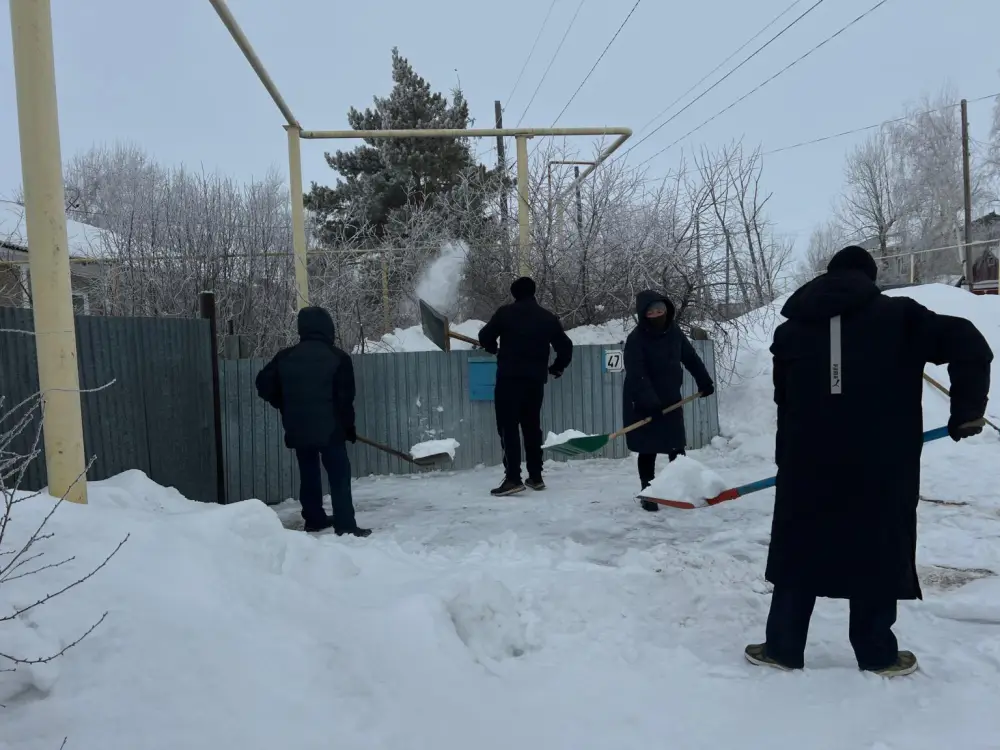 В Денисовском районе волонтёры оказали помощь пенсионерке в рамках акции «Снежный десант» Астане