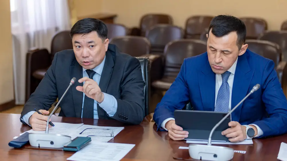 Изменения акцизов на плодовые вина и продление сроков оформления электронных счетов: последствия для бизнеса Астане