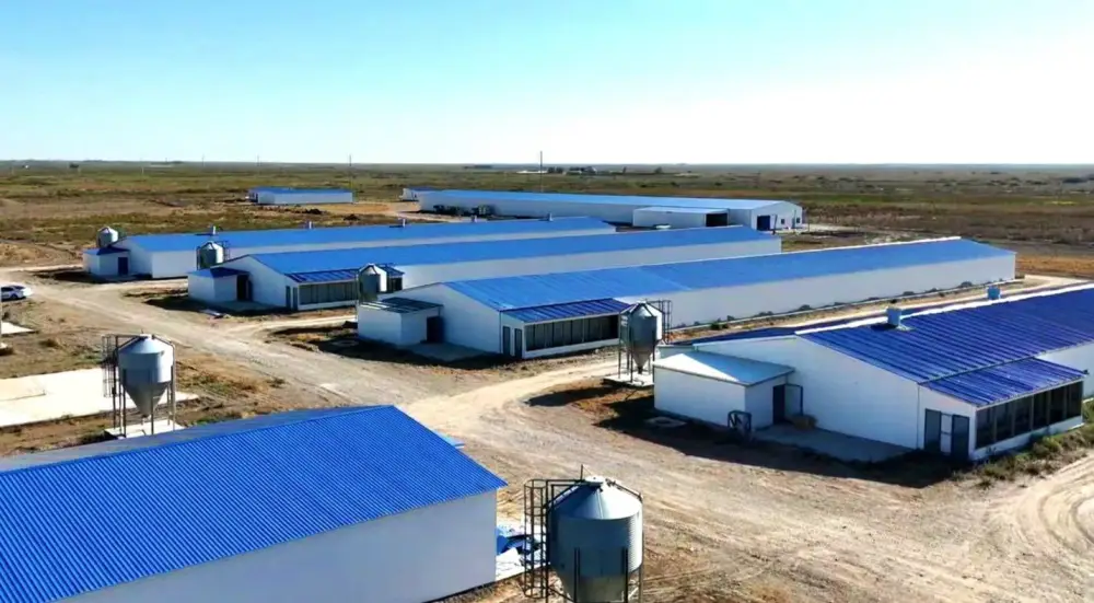 Птицефабрику мощностью 3,5 тыс. тонн в год запустят в Кызылординской области (7)