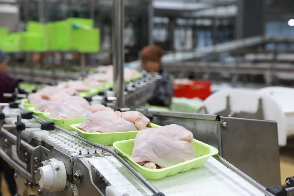 Более половины сельхозпродукции Жамбылской области обеспечивает животноводство (8)