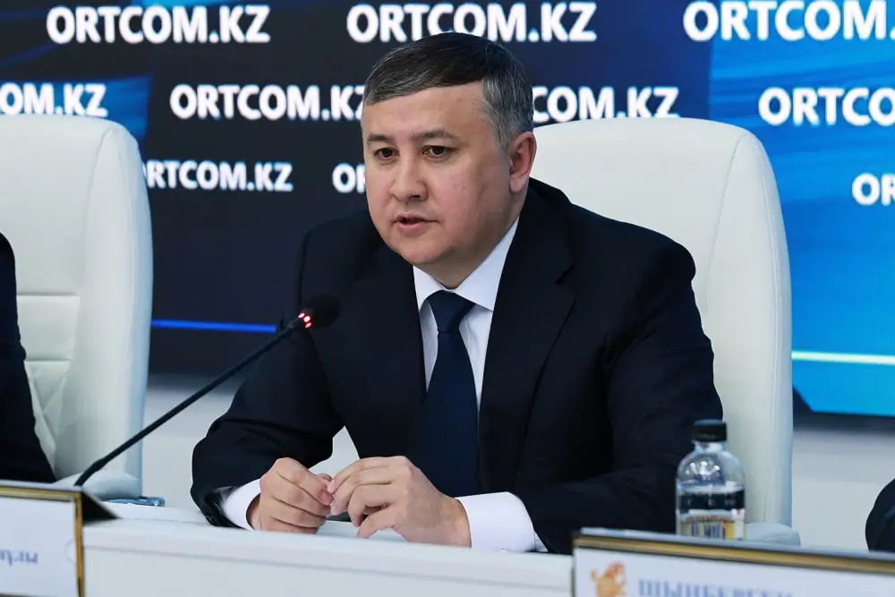 Успех механизма Google tax: 146,5 млрд тенге в бюджете и новые игроки на рынке Астане