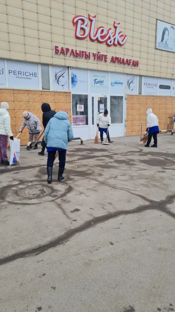 Масштабная генеральная уборка проходит в Астане в День очищения (8)