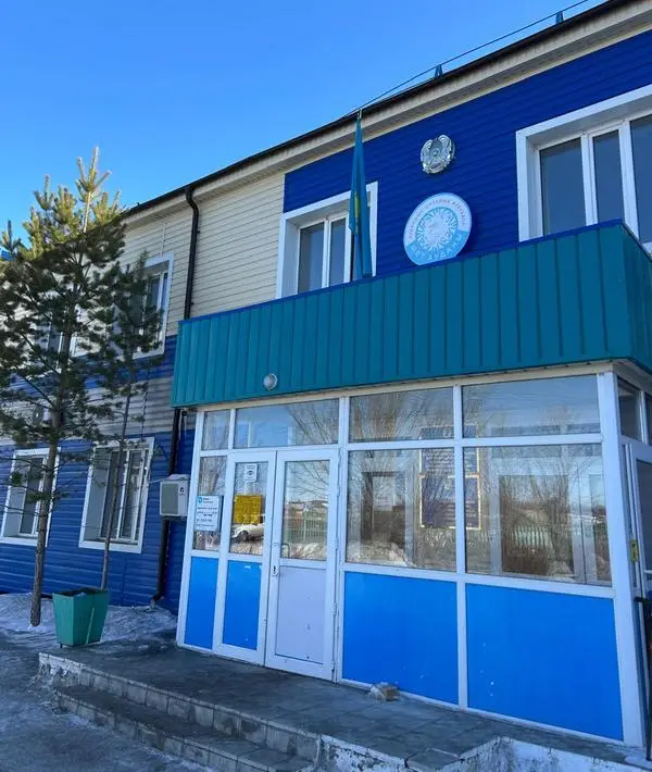 Доступно и без очередей: как телемедицина помогает сельчанам Карагандинской области (2)