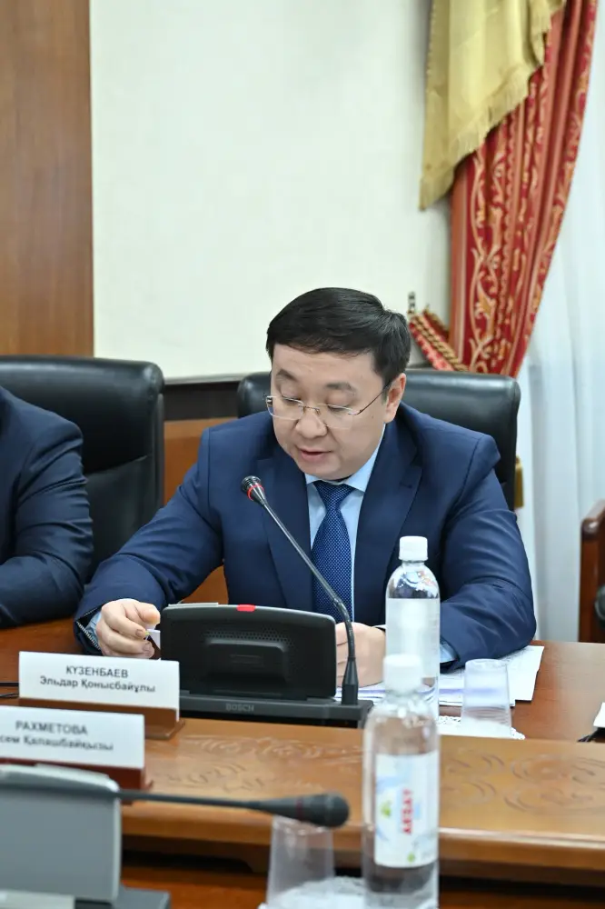 Миграционные процессы и меры их регулирования рассмотрены на круглом столе в Сенате Парламента (4)