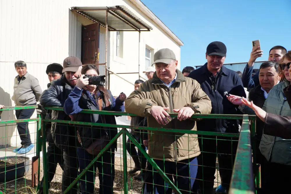 Калмыцкая порода КРС набирает популярность в Акмолинской области (2)