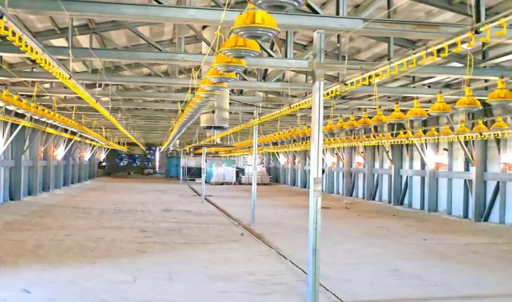 Запуск птицефабрики в Кызылординской области создаст 120 рабочих мест и поддержит агропромышленный сектор Астане