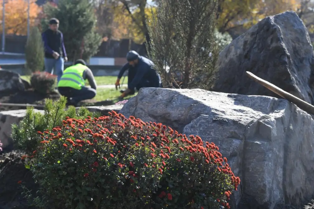 В Алматы разработают дендрологический план до 2030 года Астане