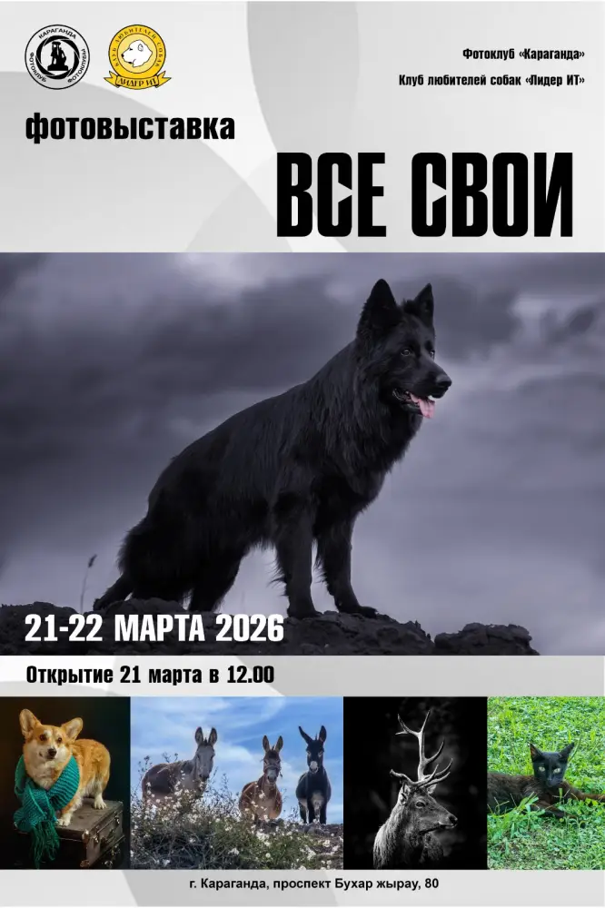 В кадре и в жизни: в Караганде объединят фотоэкспозицию и выставку собак Астане