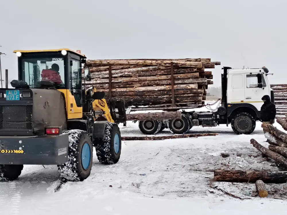 В Казахстане подведены итоги пилотного проекта по маркировке древесины (3)