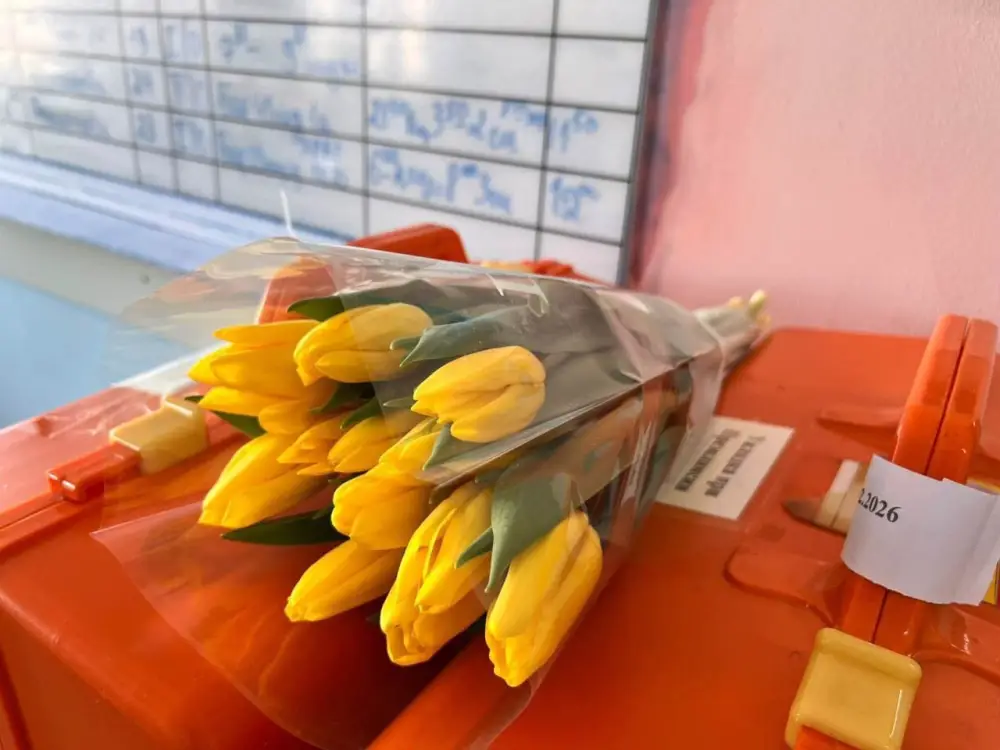 Аким ВКО поздравил с 8 Марта женщин-ветеранов (5)