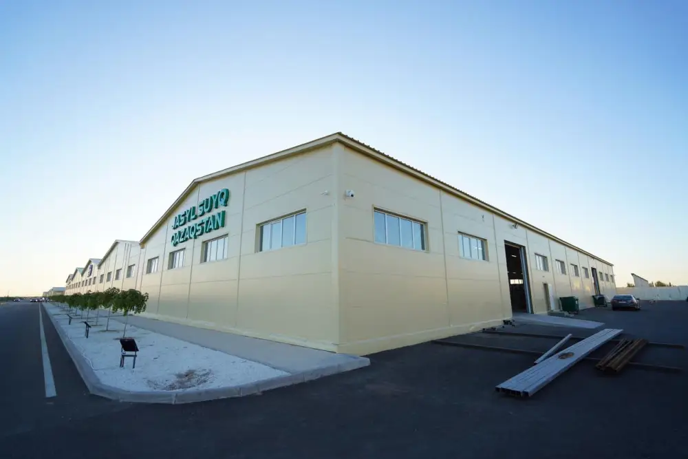 ОПЫТ ТУРКЕСТАНСКОЙ ОБЛАСТИ ПО СОЗДАНИЮ МАЛЫХ ПРОМЫШЛЕННЫХ ПАРКОВ ПРИМЕНЯТ В ДРУГИХ РЕГИОНАХ СТРАНЫ (7)