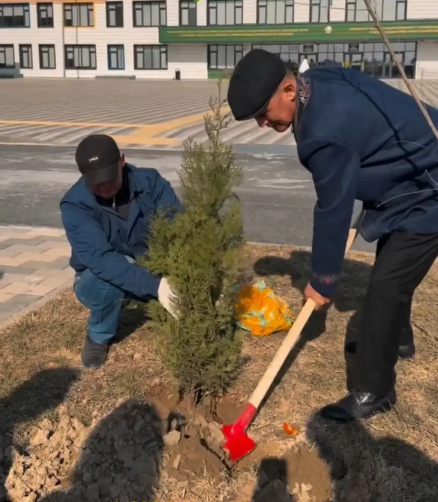 Родители высаживают саженцы во дворах школ в Кызылординской области Астане
