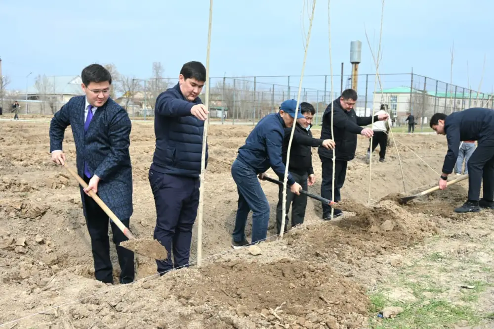 Жетысайский район озеленяется: высажены 5 тысяч саженцев в день обновления Астане