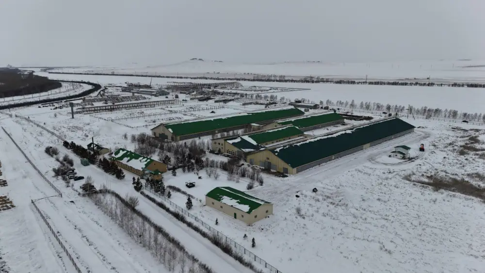 В Бурабайском районе ведется строительство крупной молочно-товарной фермы и завода по переработке молока (4)