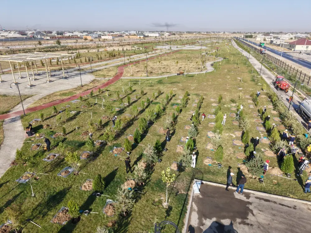 В ТУРКЕСТАНСКОЙ ОБЛАСТИ В ЭТОМ ГОДУ ВЫСАДЯТ 1 МЛН САЖЕНЦЕВ (6)