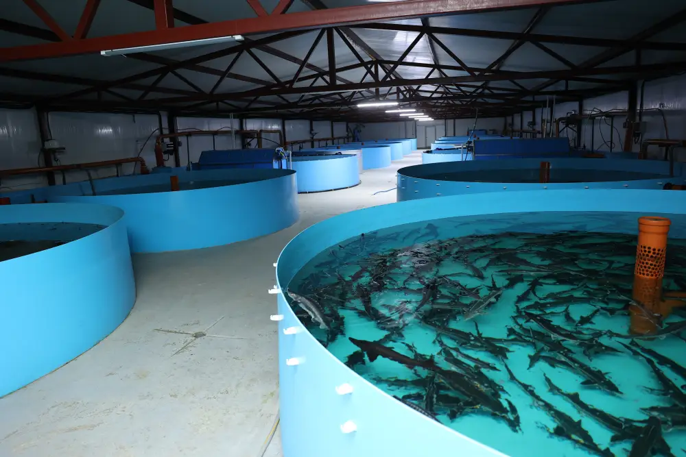 Посещение акима области Костанайского района для развития агропромышленного комплекса Астане