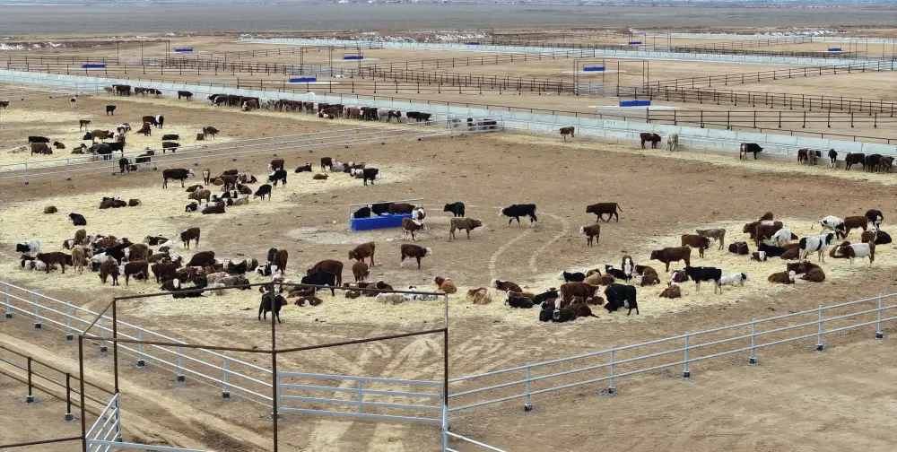 В ТУРКЕСТАНСКОЙ ОБЛАСТИ ЗА ТРИ ГОДА СОЗДАН 201 НОВЫЙ СЕЛЬСКОХОЗЯЙСТВЕННЫЙ КООПЕРАТИВ (5)