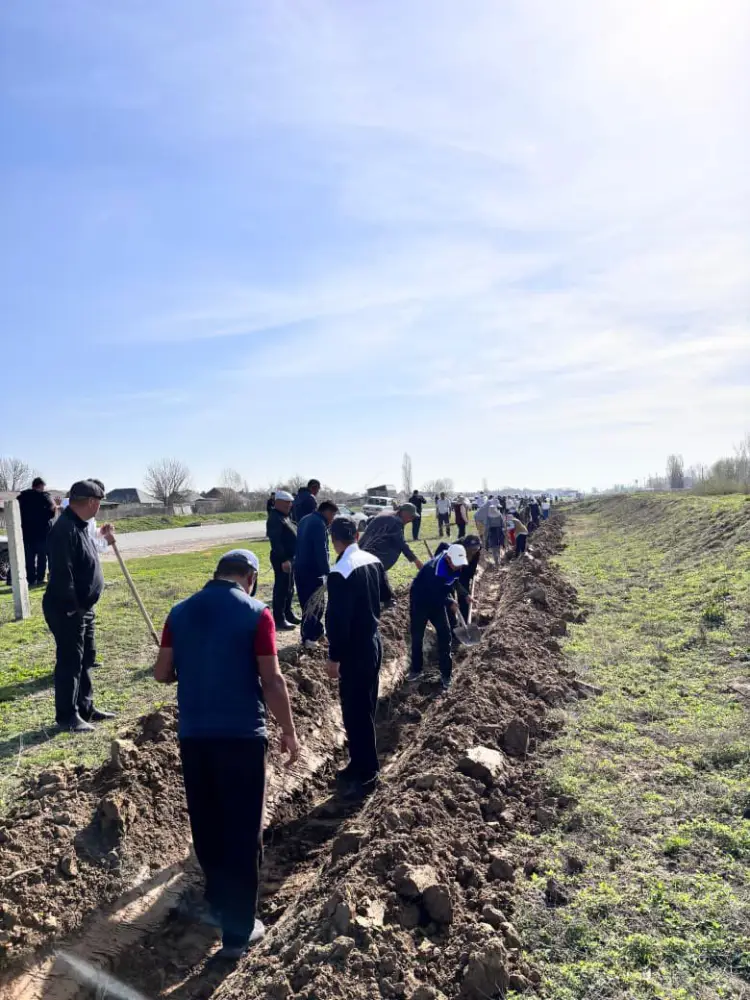 В Жетысайском районе прошел субботник, в котором приняли участие 500 человек для очистки берегов канала К-30 и высадки 2000 деревьев Астане