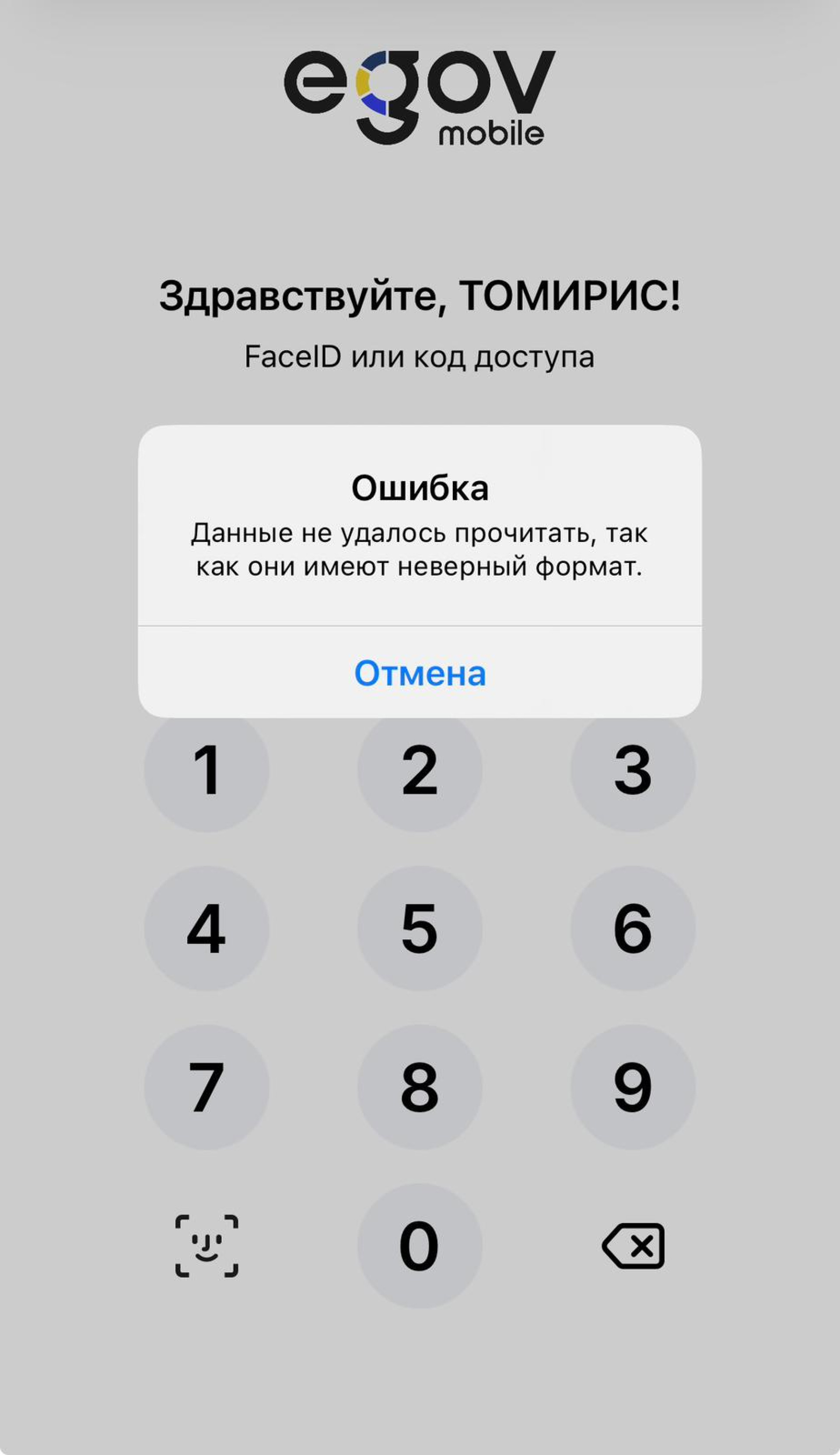 Скриншот с eGov mobile