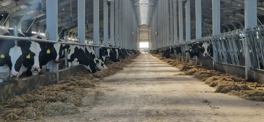 Запущено льготное кредитование животноводства в Казахстане под 6% Астане