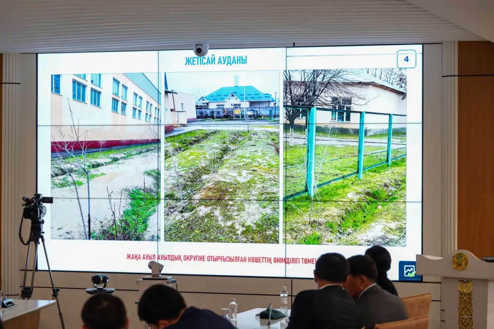 Зеленый щит Туркестанской области: 1 миллион новых саженцев в 2026 году Астане