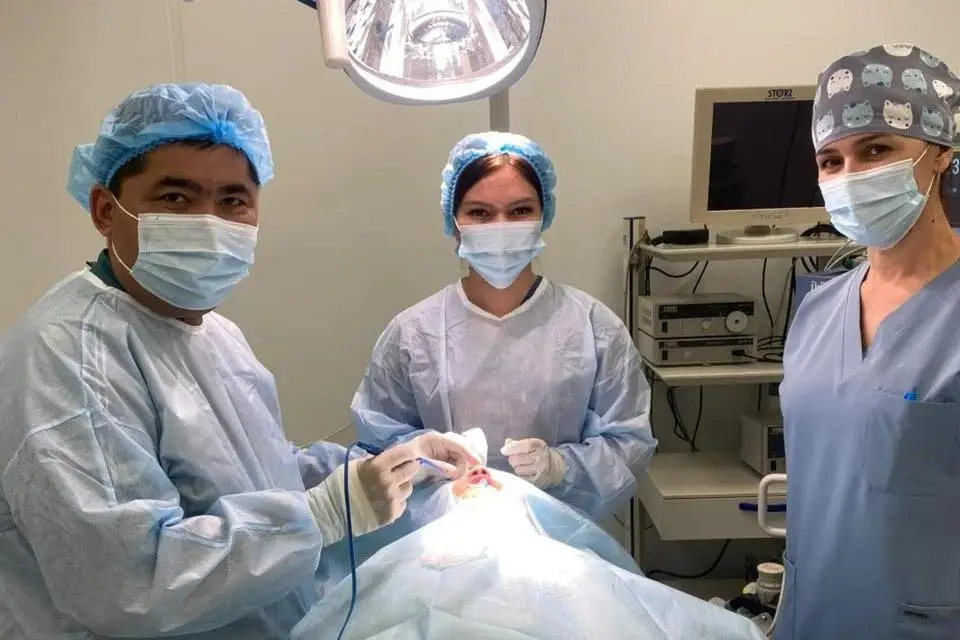 В Туркестане увеличилось количество высокотехнологичных операций в больницах Астане