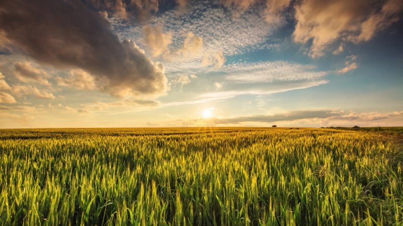 Казахстан: Прогноз погоды на весну и лето 2026 года Астане