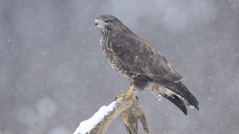Погода в Астане и Алматы: весенний вальс капризов 12-14 марта Астане