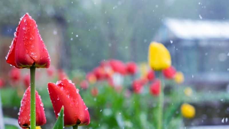 Мартовские капризы: погода в Астане и Алматы Астане