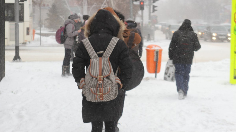 Астана: Школьники и студенты колледжей второй смены переведены на дистанционное обучение из-за непогоды Астане