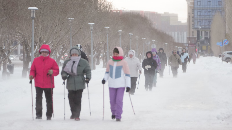 Международный прогноз погоды: Астану ждут метели, а Алматы — туман в ближайшие дни Астане