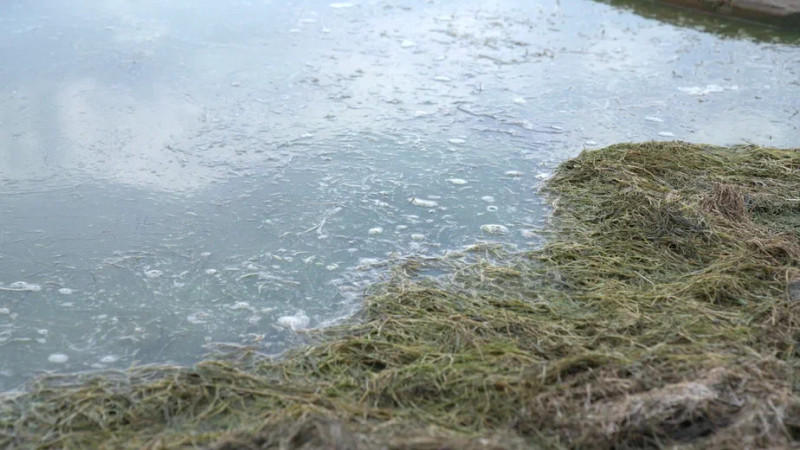 Специальная группировка МЧС Казахстана для борьбы с паводками под руководством министра Чингиса Аринова Астане