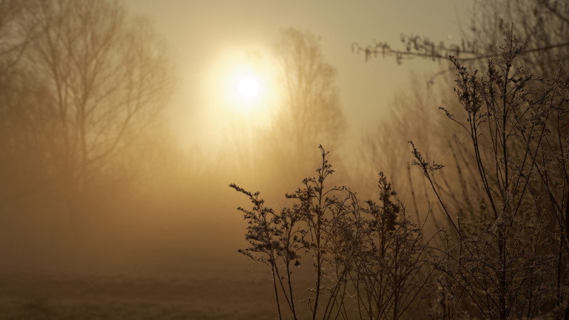 Штормовое предупреждение: Казахстан готовится к природному шоу Астане