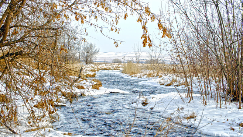 Тепло в Казахстане: температура до 15 градусов в середине марта Астане