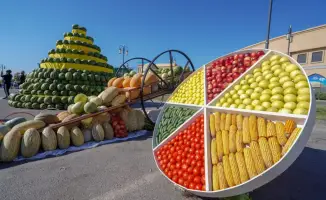 Рост сельскохозяйственной кооперации в Туркестанской области: 201 новых кооперативов за три года