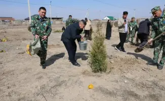 Экологическая инициатива в Уйгурском районе высадка деревьев